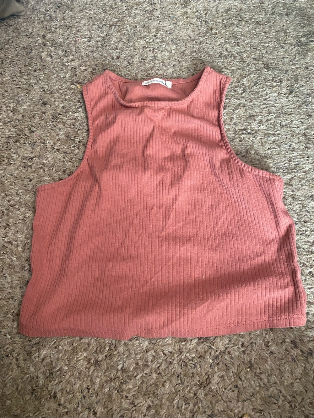 Sleeveless Ribbed Crop Tank Top in Rose